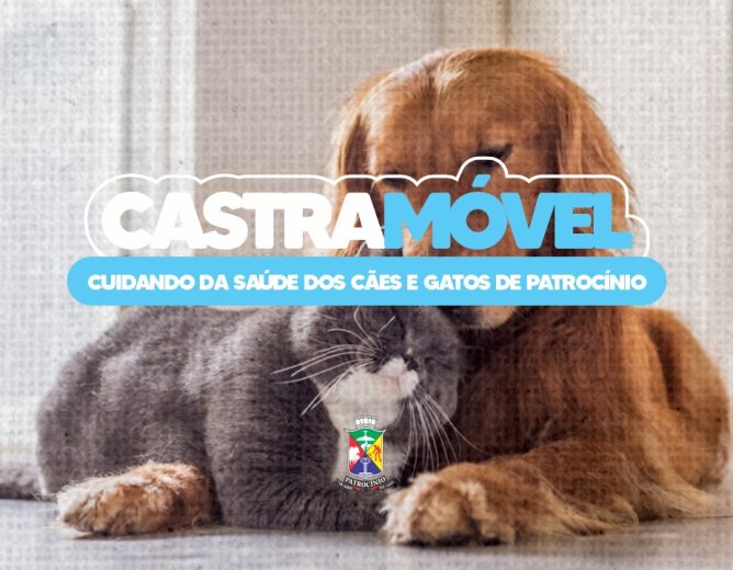 Governo Municipal realiza primeiro programa de castração em parceria com o CISPAR