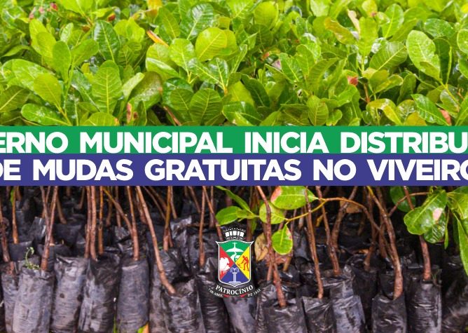 Governo Municipal, por meio da Secretaria de Agricultura e Pecuária, iniciou nesta segunda-feira (3) a distribuição de mudas no Viveiro Municipal