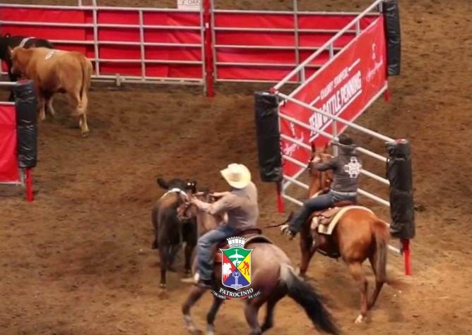 FemCafé 2026 terá competição de Team Penning no Parque de Exposições