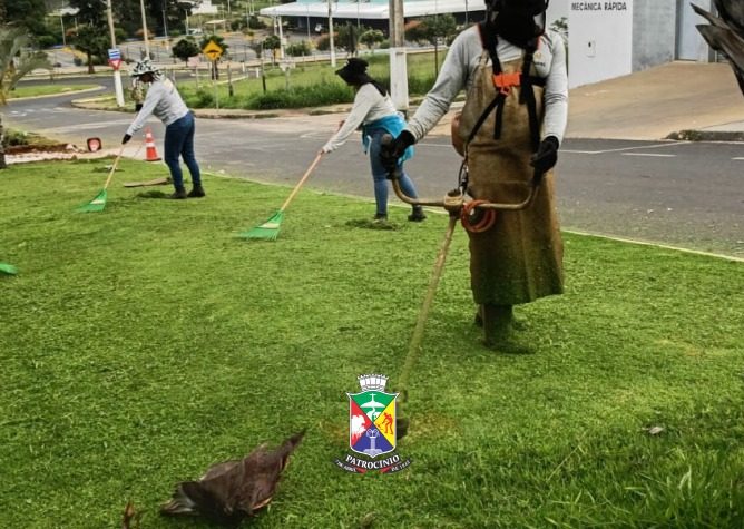 Lei atualiza regras de fiscalização sobre conservação e limpeza de canteiros e áreas públicas