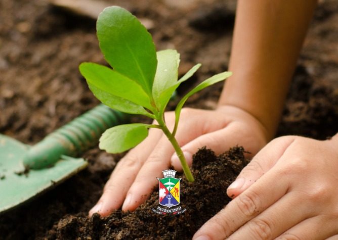 Plantio de mudas marca ação do Programa Jovens Mineiros Sustentáveis em Patrocínio