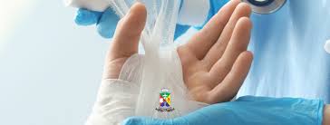 Educação Permanente realiza treinamento sobre Triângulo de Avaliação de Feridas no CEAE